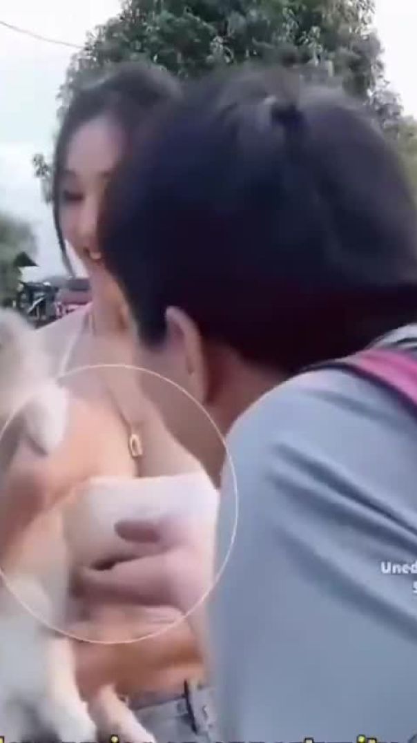 Funny Video Status Collection Download | Trending Comedy WhatsApp Status