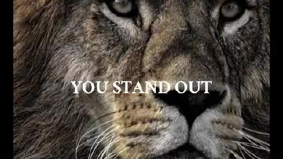 Don’t Settle. Outgrow. Stand Out | Powerful Motivation Video Status