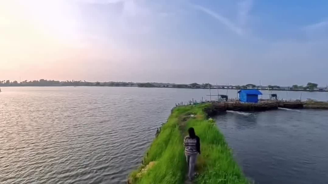 ⁣Good Evening Walk – Beautiful Nature Walk Short Video in HD | Relaxing Evening Vibes